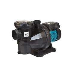 Pompe De Filtration Silver 18 M Espa