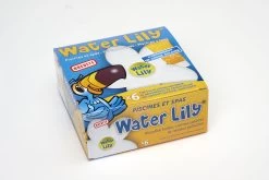 Absorbant Water Lily